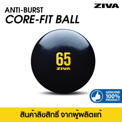 Ziva Anti Brust Core Fit Ball 65 cm.