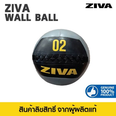 Ziva Wall Ball 2 Kg